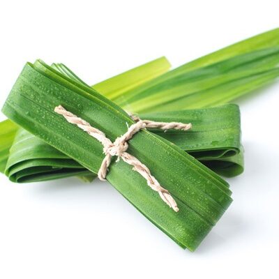 Fresh Rampe 2 leaves