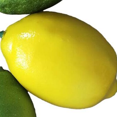 Fresh Lemon 500g ලෙමන් லெமன்