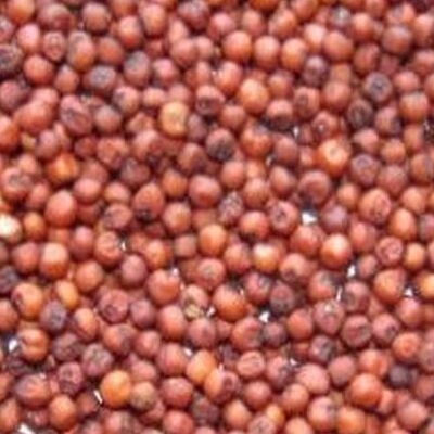 Ragi Seeds Kurakkan Seeds 250g කුරක්කන් ඇට குரக்கன்(கேழ்வரகு)