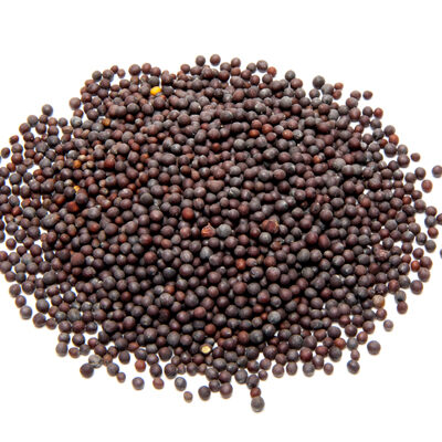 Mustard Seeds 100g අබ கடுகு
