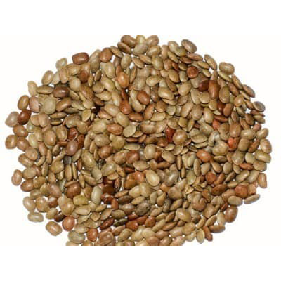 Horse Gram 100g කොල්ලු கொள்ளு
