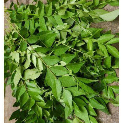 Fresh Curry Leaves 100g කරපිංඡා கருவப்பிள்ளை