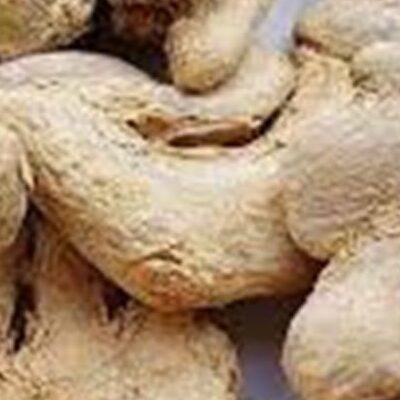 Dried Ginger 20g වියලි ඉගුරැ உலர்ந்த இஞ்சி