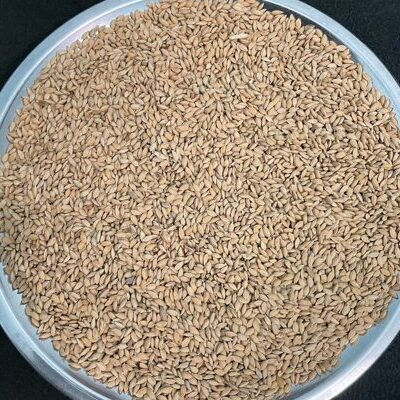 Paddy 1kg ව් நெல்