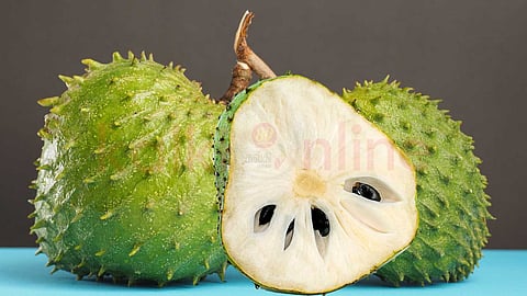 Custard Apple 1 අනොදා சீத்தாப்பழம்