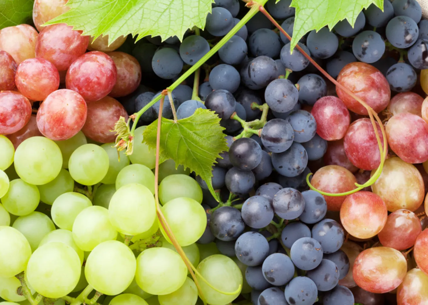 Grapes 100g මිදි திராட்ச்சை