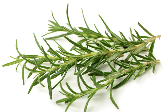 Rosemary leaves 100g