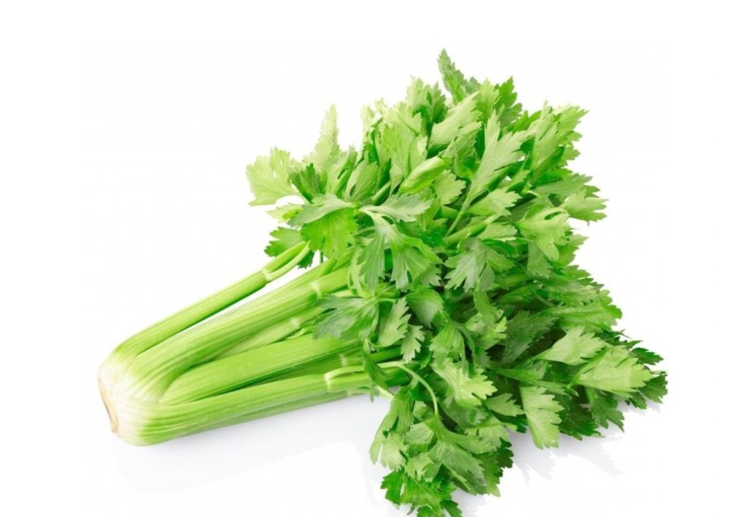 Celery 100g සැල්දිරි