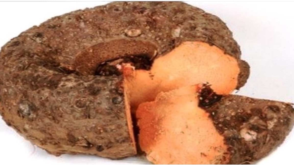 Yam 250g කිඩාරමි අල கருனை கிழங்கு